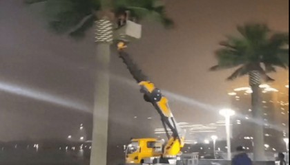 县政府门前广场花1305万建设仿真椰子树、雕塑等，中央点名通报后，仿真椰子树连夜拆除