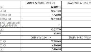 美盈森集团股份有限公司 关于为子公司提供担保的进展公告