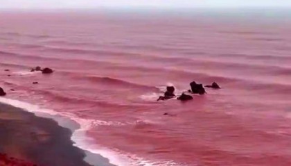 罕见！伊朗霍尔木兹岛遭遇强降雨，部分海域变成“血色海洋”