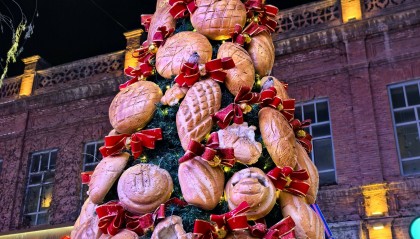 哈尔滨一大列巴面包树成麻雀过冬粮仓，设计师：一百多个面包做成，已有两年