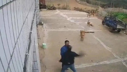 男子家门口吃橘子被邻居一拳打昏，警方通报：因养狗问题起冲突，均有受伤