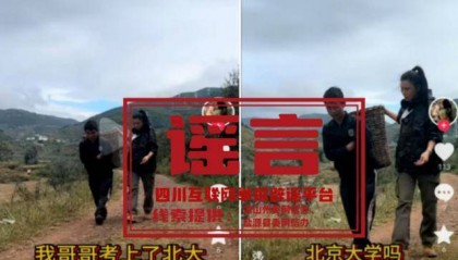 弟弟卖苹果供北大哥哥读书？处理结果公布