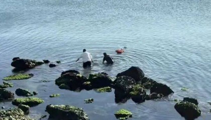 -11℃！大连一公园附近，有人发现海面上漂着一个红衣女子……