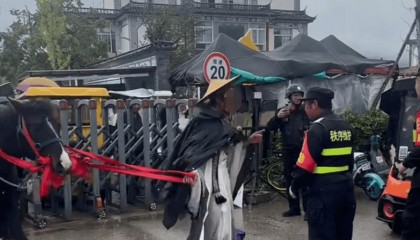 男子骑马在大理洱海廊道与保安起冲突 当地政府：廊道禁止机动车和马匹入内