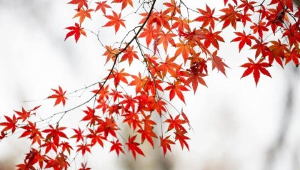 本周晴多雨少 明日气温回升