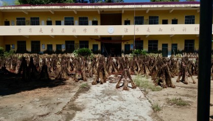 在县城当老师，没那么吃香了