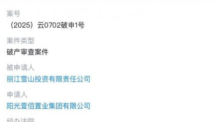 李亚鹏开发的雪山艺术小镇被申请破产，原股东股权价值将归零？