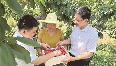 山西：金融力量助推乡村振兴“加速跑”