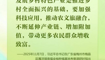 学习时节｜从荔枝到金柚，总书记的甜美祝愿