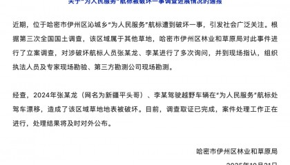 哈密官方通报：张某龙、李某涉破坏“为人民服务”航标，已立案调查