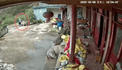 93岁老人进山失联，两天后发现他倒挂在树杈上苦撑……