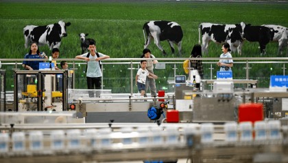 工厂为何成为“网红打卡地”？