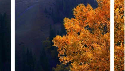 邂逅博州的秋天，从从容容游刃有余