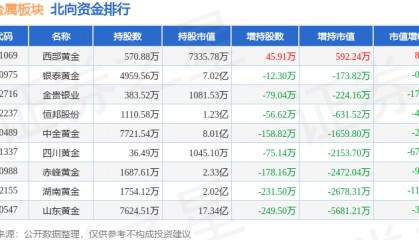 贵金属板块11月22日跌0.52%，湖南黄金领跌，主力资金净流出1.05亿元