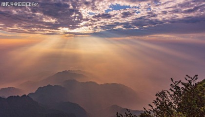 区块链行业观察