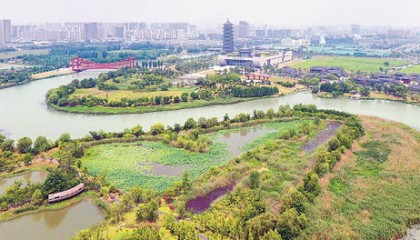 “黄金十字”书写江苏贡献与担当