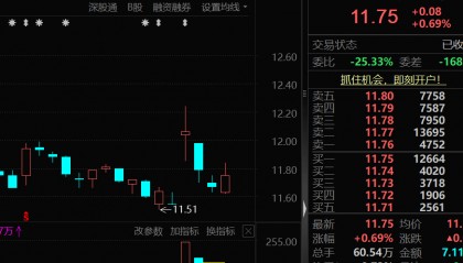 价格暴涨28.8万元/吨，600549，历史新高！
