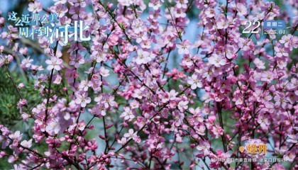 暂停使用！张家口市政水务有限责任公司最新通知→