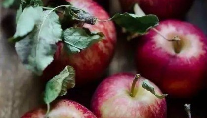 减肥就吃这7样，瘦成闪电算什么！！