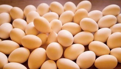 嫌鸡蛋太脏，女子洗了两锅鸡蛋，最后连夜煮成茶叶蛋……专家：“洗蛋”等于“拆防线”