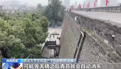 副热带高压给西安城墙送来“限定皮肤” 专家解读背后原因