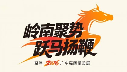 佛山市委常委、顺德区委书记陈新文：争当湾区“小深圳”