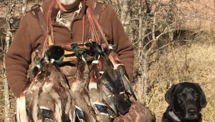 美国百万富翁在南非参加高端付费狩猎活动，被水牛顶死