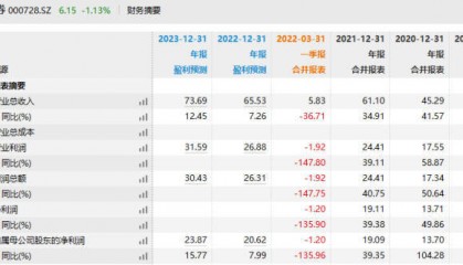 国元证券交易软件故障未及时报告被发警示函，一季度亏损1.2亿