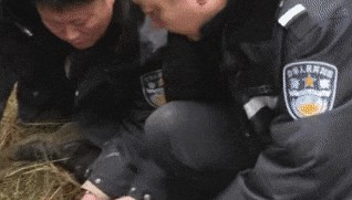 辽宁4岁女童称睡醒后自行下车，迷路后睡在草地，期间无人接触；其母发声