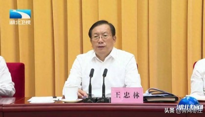 湖北省委书记王忠林：严查贪污侵占、截留挪用、虚报冒领、吃拿卡要等腐败问题