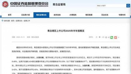 3323亿营收、1065亿海外收入！青岛上市公司的进击之路