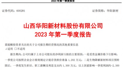 剑指省内重要的生物可降解塑料生产基地，华阳新材定下“一年开局、三年雏形、五年定型”大目标