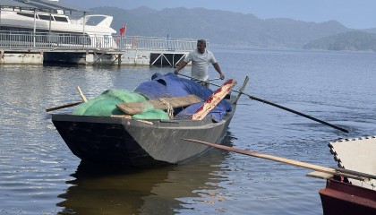 密云“水库鱼”将开捞：水面变宽水深了，捕捞比往年上难度
