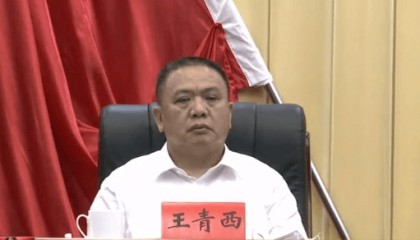 广东连打两虎