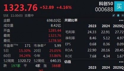 双创指数再度引领反弹，科创50指数半日大涨4.16%