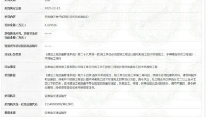 安徽建工公路桥梁建设集团有限公司违规被罚