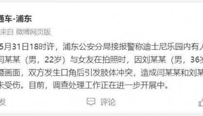 上海迪士尼游客打架，属地部门：因孩子进入对方取景框引起冲突