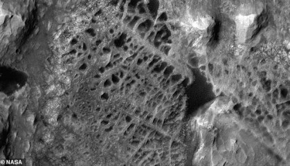 外媒：NASA在火星发现“蜘蛛网”状岩石结构 或与外星生命有关