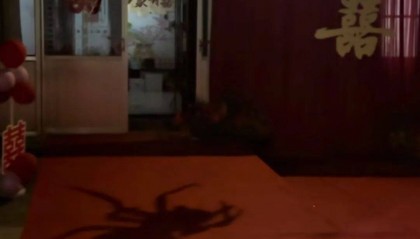 山东一新娘家凌晨出现巨大蜘蛛的倒影，拍摄者：蜘蛛爬在灯泡上，网友：这才是喜结连理