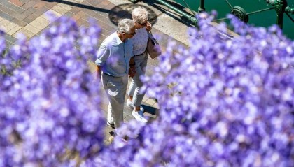 别说自己老了，大脑功能或60岁时达巅峰