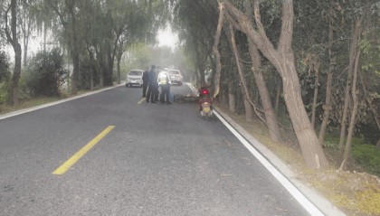 兴平一女教师骑车与公路边树木碰撞不幸身亡