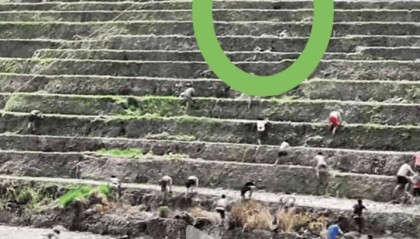 桂林一景区回应爬梯田比赛前两名半坡起跑作弊：游客赛前试爬后躺半坡，工作人员没发现