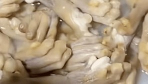 湖南一烧烤店直播煮动物爪子引争议，涉事商家回应