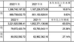 岳阳兴长石化股份有限公司2022年度报告摘要