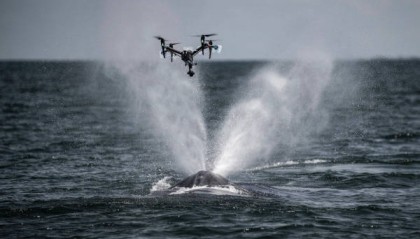 美国科学家震惊：封杀中国无人机，“简直是疯了！”