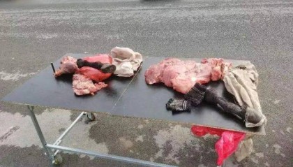 淄博一肉摊卖“假肉”！王某某、周某等17人被一锅端
