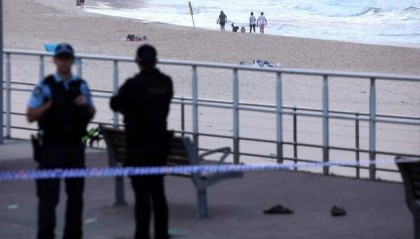 数十人伤亡，澳大利亚父子为何行凶？