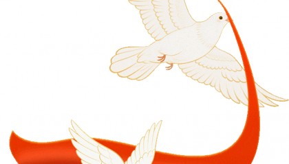 银川市红十字会传达学习市委十五届十四次全会精神