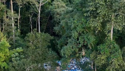 西双版纳勐龙镇通报“森林里倾倒塑料垃圾”：正在清运