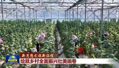 新思想引领新征程丨绘就乡村全面振兴壮美画卷